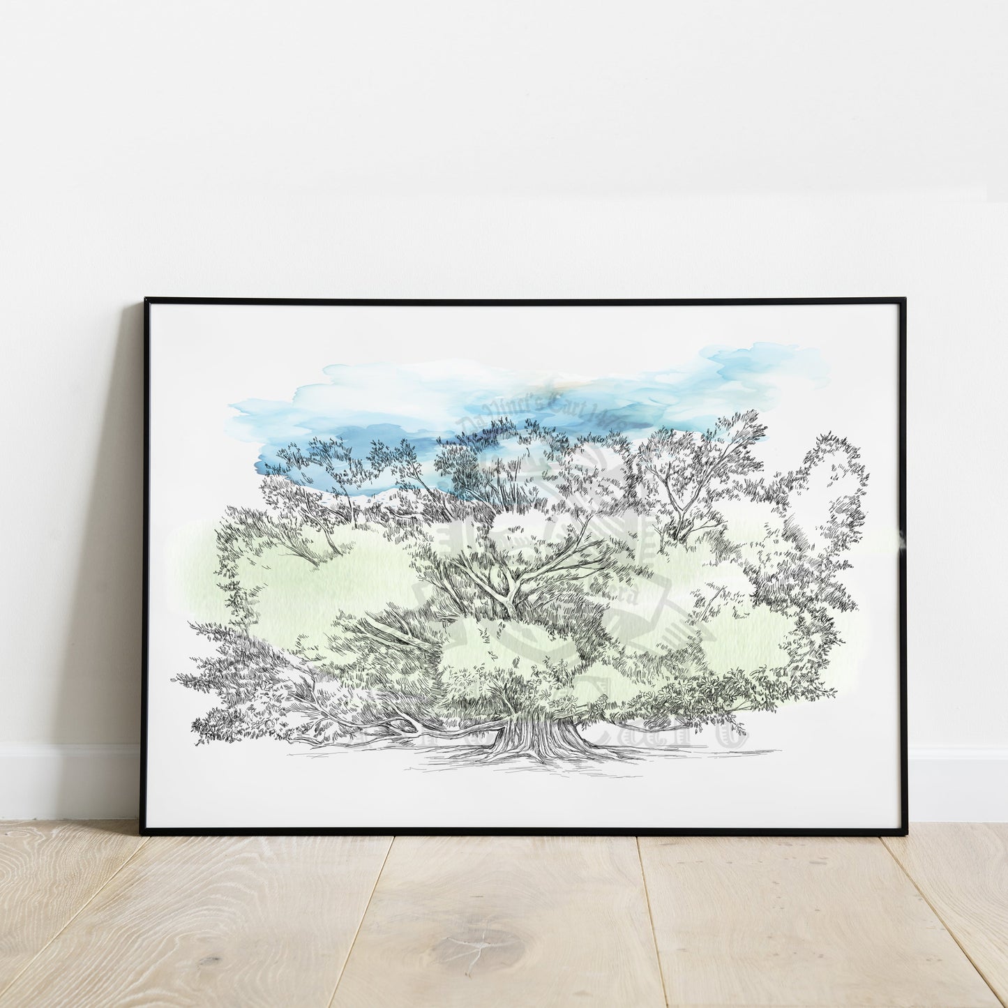 Moreton Bay Fig Tree, Balboa Park, San Diego Hand Drawn Fine Art Prints