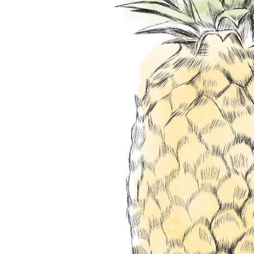 Pineapple Table Numbers, Hawaiian Themed Wedding, Beach (1-10)